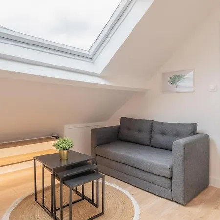 Lille Centre - Bel Appartement Sous Les Combles ! Exterior foto